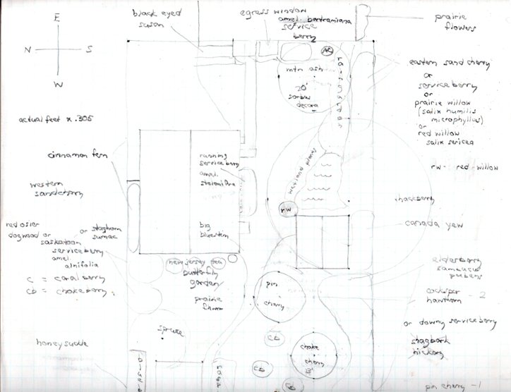 current blueprint for east side of yard