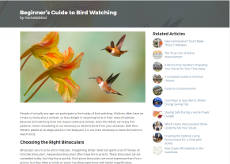 screenshot: article: Beginners Guide to Birdwatching