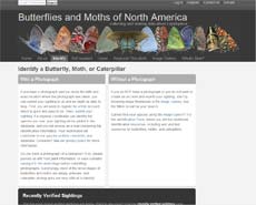 screenshot: Butterflies and Moths of North America
