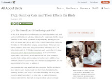 screenshot: Cornell Lab: All About Birds article