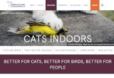 screenshot: American Bird Conservancy : Cats Indoors Program website