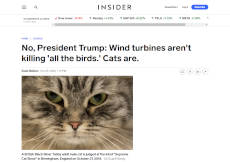 screenshot: Business Insider article