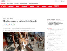 screenshot: Canadian Broadcasting Corporation article