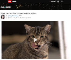 screenshot: CNN science article