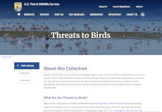 screenshot: U.S. Fish and Wildlife Service article