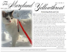 screenshot: Maryland Ornithological Society newsletter