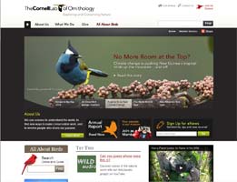 screenshot: Cornell Lab of Ornitology