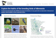 screenshot: Minnesota Bird Atlas