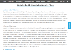 screenshot: article: Identifying Birds in Flight