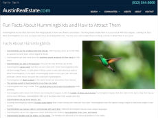 screenshot: page: Hummingbird Facts